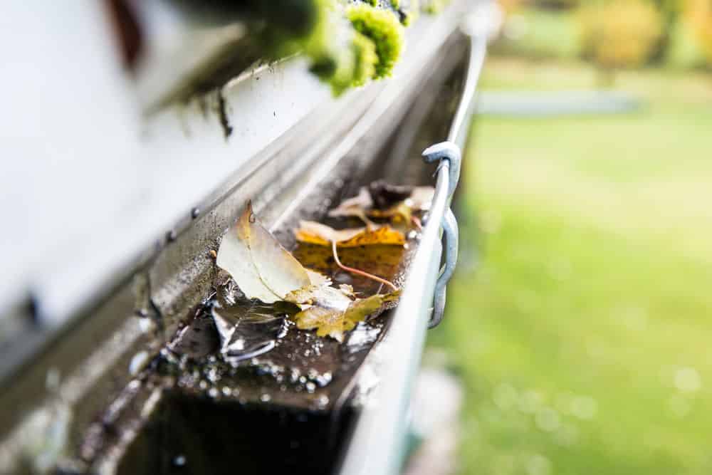 Gutter Cleaning image
