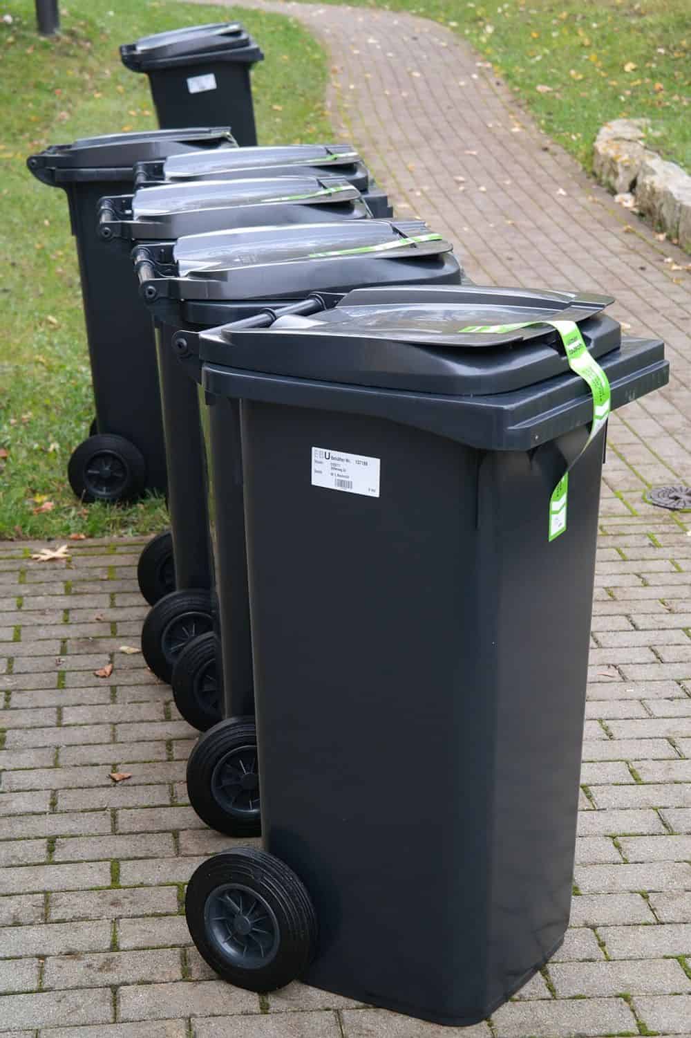Trash Can Cleaning image