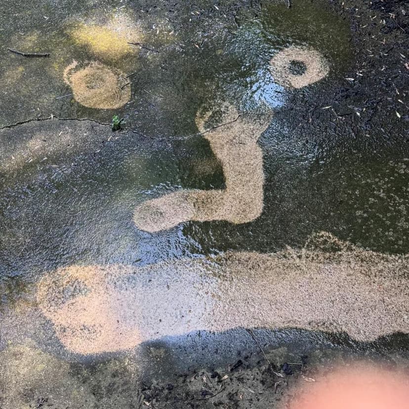 Award-Winning Customer Service's image