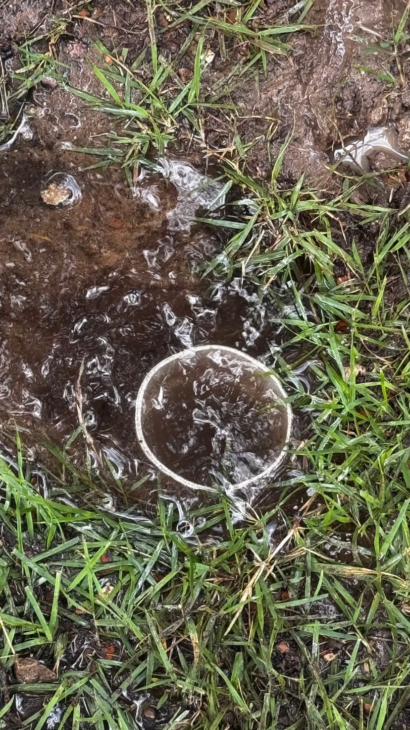 Advanced Technology and Equipment's image